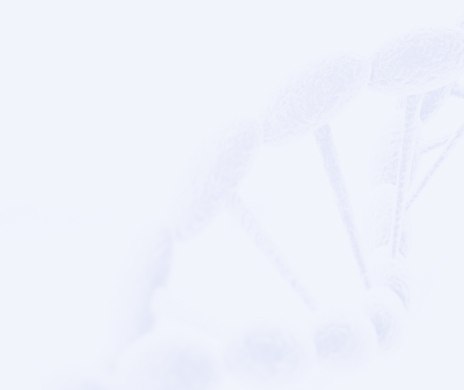 首页- k8凯发集团中国官方网站